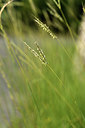 BUITEN BEELD Foto: 394817