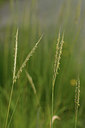 BUITEN BEELD Foto: 394819