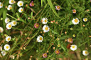 BUITEN BEELD Foto: 394829