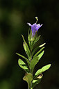 BUITEN BEELD Foto: 394846