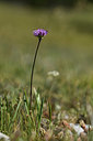 BUITEN BEELD Foto: 394858