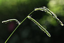 BUITEN BEELD Foto: 394864