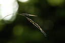 BUITEN BEELD Foto: 394867
