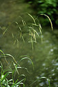 BUITEN BEELD Foto: 394870