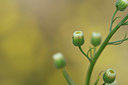 BUITEN BEELD Foto: 394873