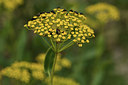 BUITEN BEELD Foto: 394879