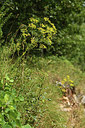BUITEN BEELD Foto: 394883