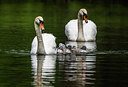 BUITEN BEELD Foto: 394892
