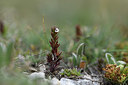 BUITEN BEELD Foto: 394895