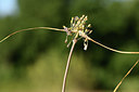 BUITEN BEELD Foto: 394906