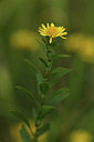 BUITEN BEELD Foto: 394965
