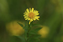 BUITEN BEELD Foto: 394966