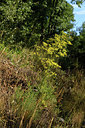 BUITEN BEELD Foto: 394973