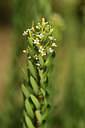BUITEN BEELD Foto: 395006