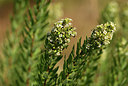 BUITEN BEELD Foto: 395007