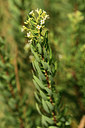 BUITEN BEELD Foto: 395008