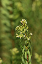 BUITEN BEELD Foto: 395009