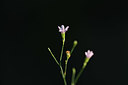 BUITEN BEELD Foto: 395025