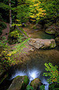 BUITEN BEELD Foto: 395079