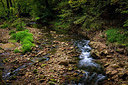 BUITEN BEELD Foto: 395080