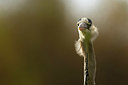 BUITEN BEELD Foto: 395633