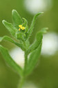 BUITEN BEELD Foto: 395665