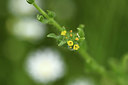 BUITEN BEELD Foto: 395683