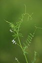 BUITEN BEELD Foto: 395701