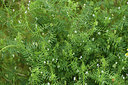 BUITEN BEELD Foto: 395709