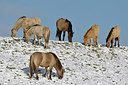 BUITEN BEELD Foto: 395731