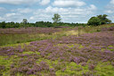 BUITEN BEELD Foto: 395823