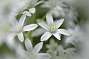 BUITEN BEELD Foto: 395835