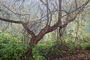 BUITEN BEELD Foto: 395856