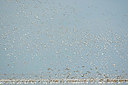 BUITEN BEELD Foto: 396177