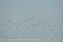 BUITEN BEELD Foto: 396179