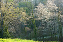 BUITEN BEELD Foto: 396235