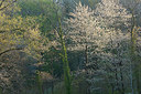 BUITEN BEELD Foto: 396239