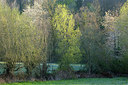 BUITEN BEELD Foto: 396240