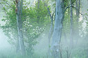 BUITEN BEELD Foto: 396304