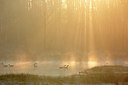 BUITEN BEELD Foto: 396322