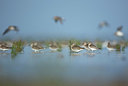 BUITEN BEELD Foto: 396375