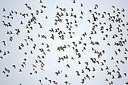 BUITEN BEELD Foto: 396376