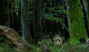 BUITEN BEELD Foto: 396774