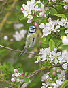 BUITEN BEELD Foto: 397014