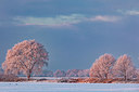 BUITEN BEELD Foto: 397592