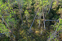 BUITEN BEELD Foto: 397629