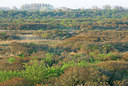 BUITEN BEELD Foto: 397640