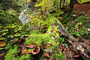 BUITEN BEELD Foto: 397647