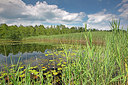 BUITEN BEELD Foto: 397705