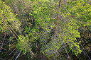 BUITEN BEELD Foto: 397720
